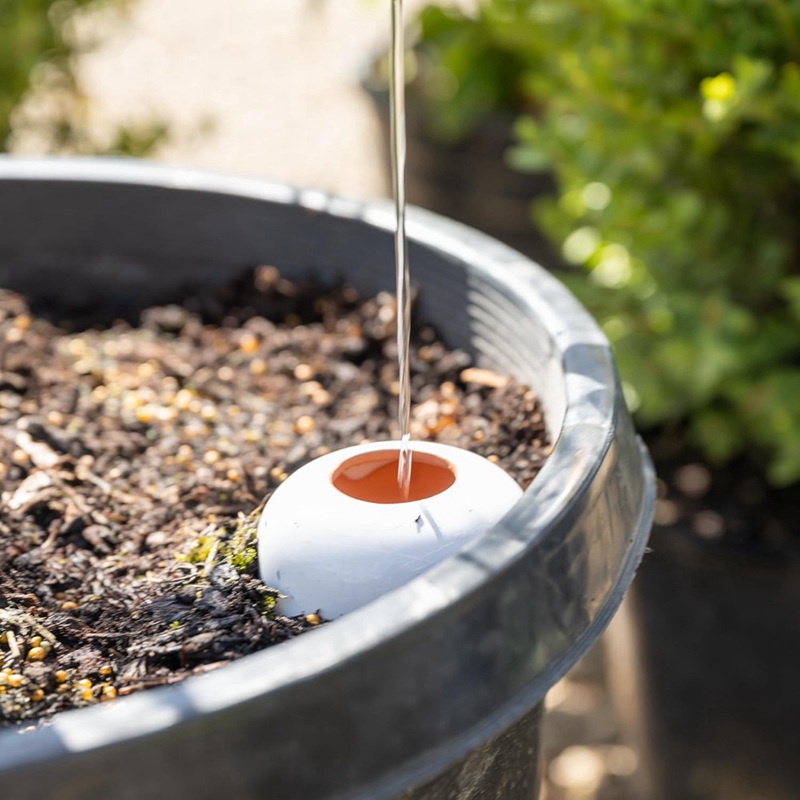 Bitki sulama topu, Terracotta  - Self Watering Insert incelemesi ve fiyatı
