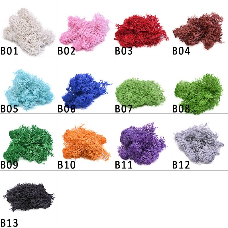 20-40g Yapay Doğal Bitki Sonsu - Sphagnum Moss Dry incelemesi ve fiyatı